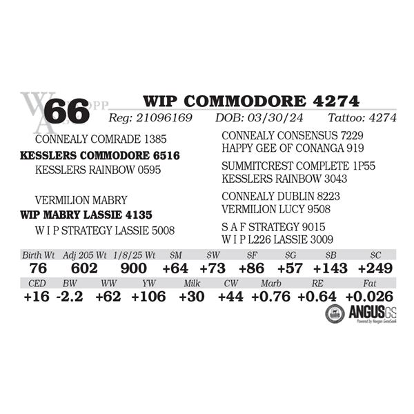 WIP COMMODORE 4274