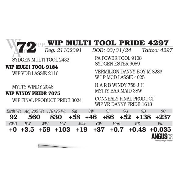 WIP MULTI TOOL PRIDE 4297