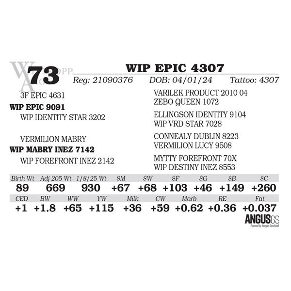 WIP EPIC 4307