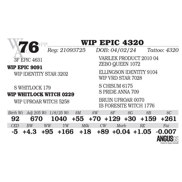 WIP EPIC 4320
