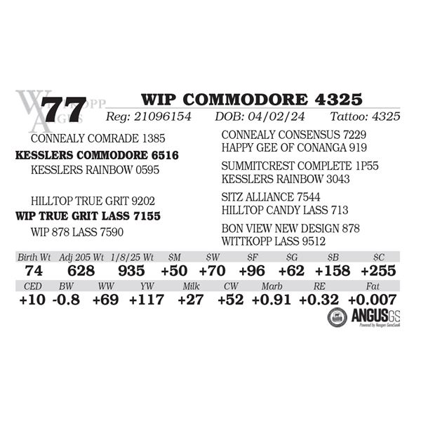 WIP COMMODORE 4325