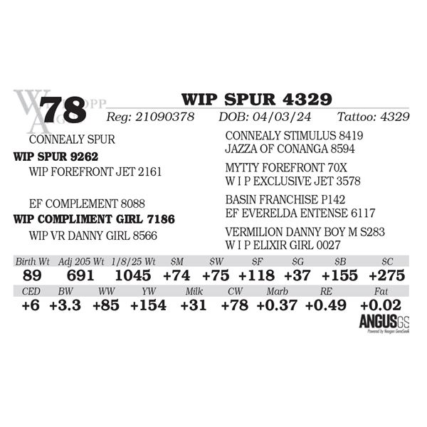 WIP SPUR 4329