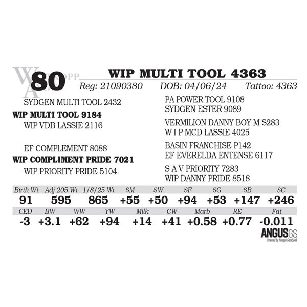 WIP MULTI TOOL 4363