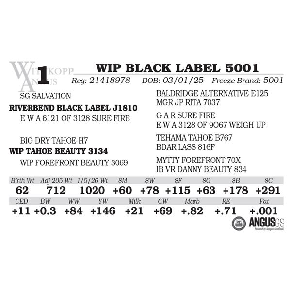 WIP BLACK LABEL 5001
