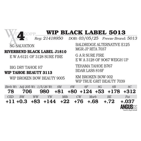 WIP BLACK LABEL 5013