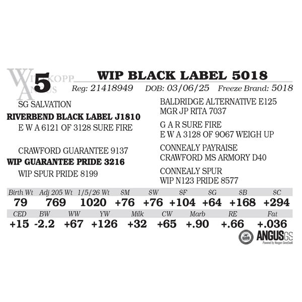 WIP BLACK LABEL 5018