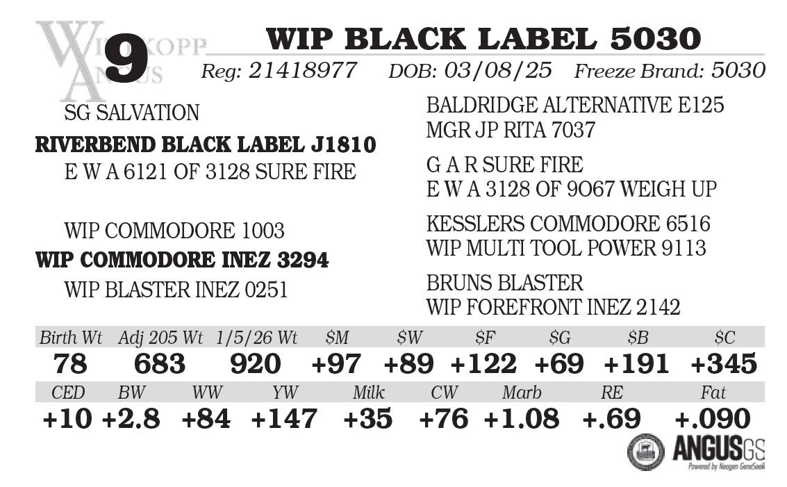 Wip Labels WIP BLACK LABEL 5030