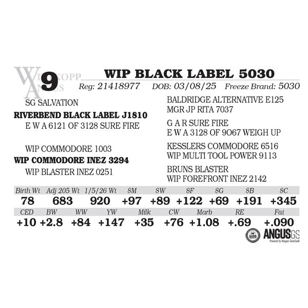 WIP BLACK LABEL 5030