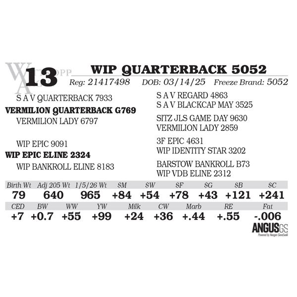WIP QUARTERBACK 5052