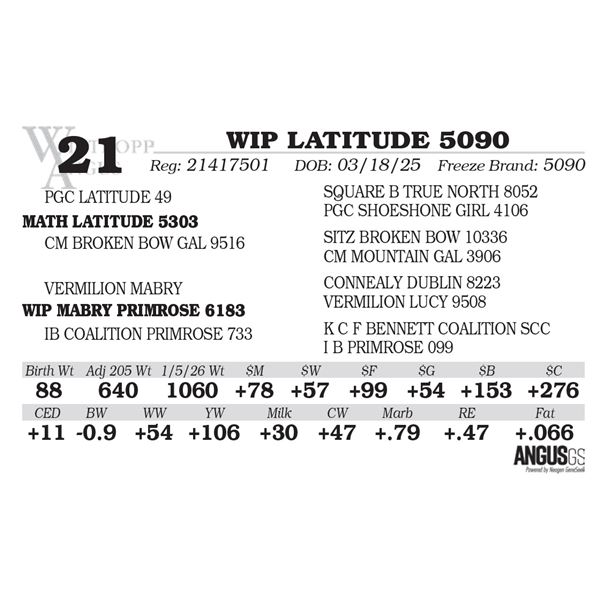 WIP LATITUDE 5090