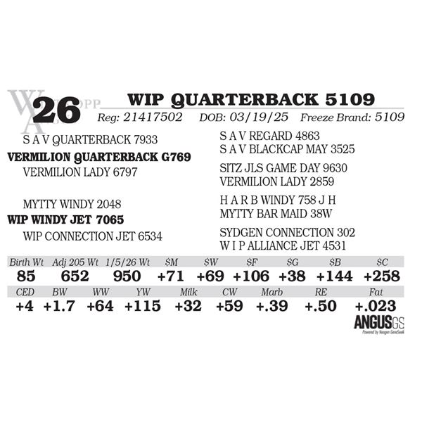 WIP QUARTERBACK 5109