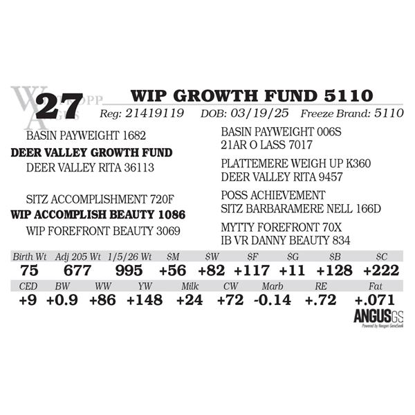 WIP GROWTH FUND 5110