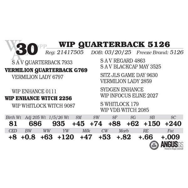 WIP QUARTERBACK 5126