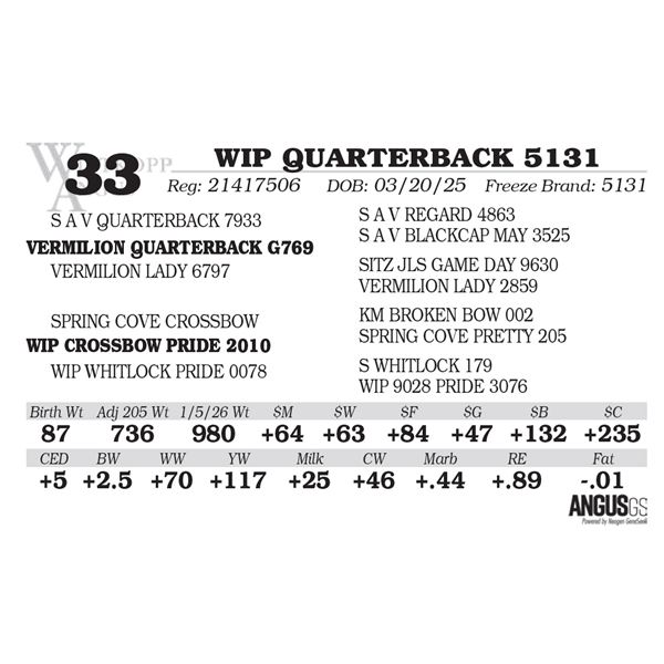 WIP QUARTERBACK 5131