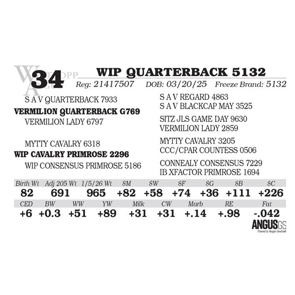 WIP QUARTERBACK 5132