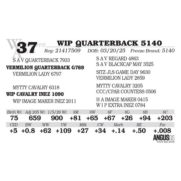 WIP QUARTERBACK 5140