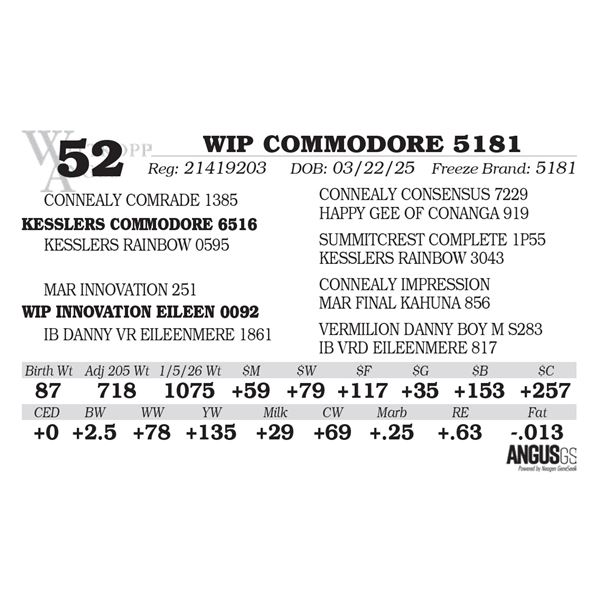 WIP COMMODORE 5181