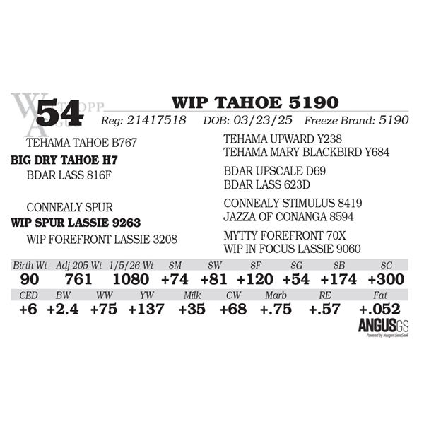 WIP TAHOE 5190
