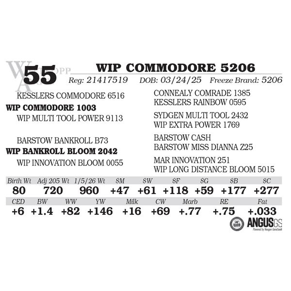 WIP COMMODORE 5206