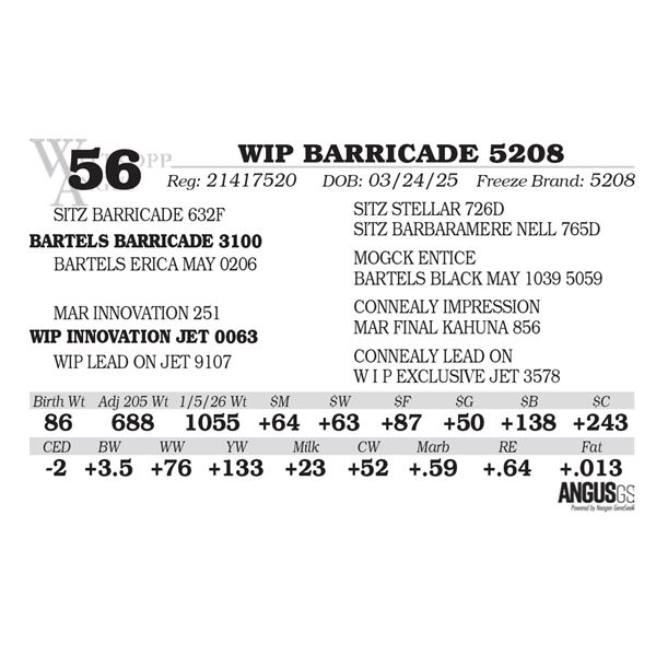 WIP BARRICADE 5208