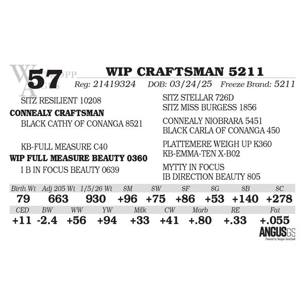 WIP CRAFTSMAN 5211