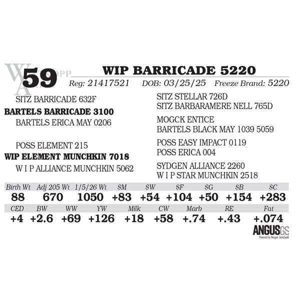 WIP BARRICADE 5220