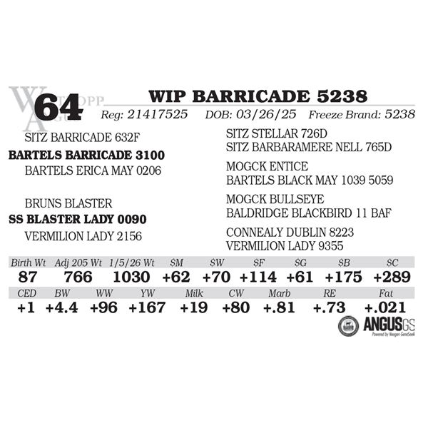 WIP BARRICADE 5238