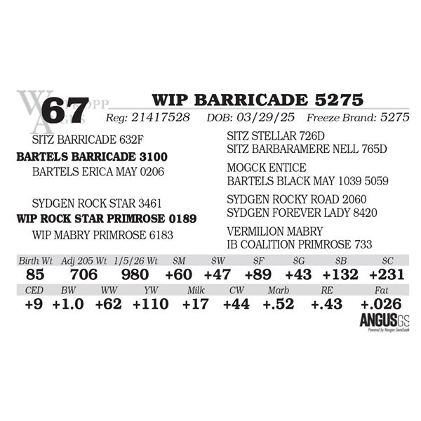 WIP BARRICADE 5275