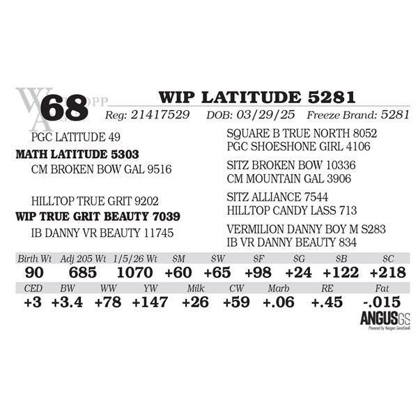 WIP LATITUDE 5281