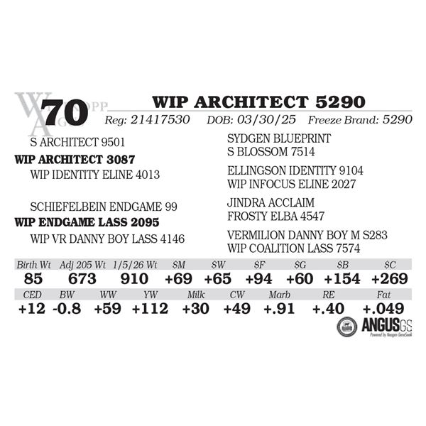 WIP ARCHITECT 5290