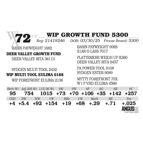 WIP GROWTH FUND 5300