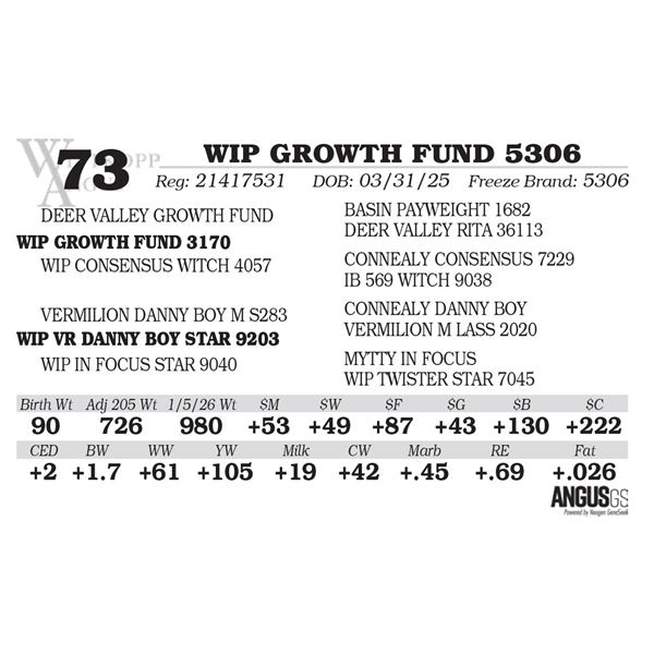 WIP GROWTH FUND 5306