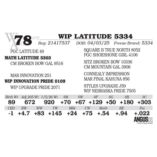 WIP LATITUDE 5334
