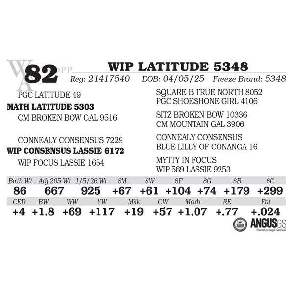 WIP LATITUDE 5348