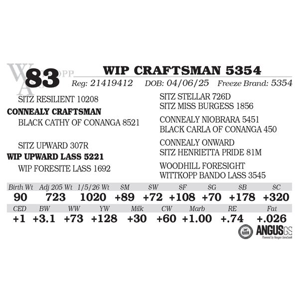WIP CRAFTSMAN 5354