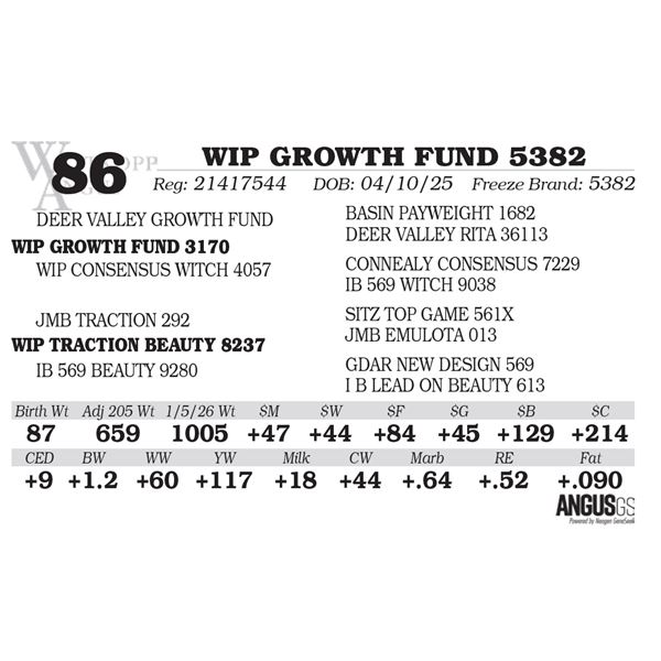 WIP GROWTH FUND 5382