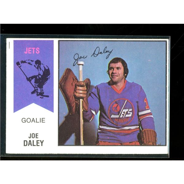 1974-75 O-Pee-Chee WHA #38 Joe Daley