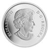 Image 3 : 2011 $20 Winnipeg Jets - Pure Silver Coin