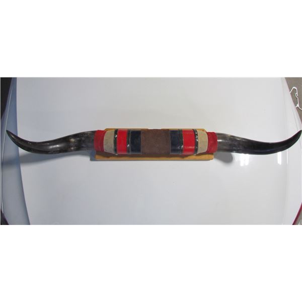 Mounted Bull Horns Decor