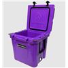 Image 2 : WhiteRock AVR33 Hard Cooler, Wild Purple, New