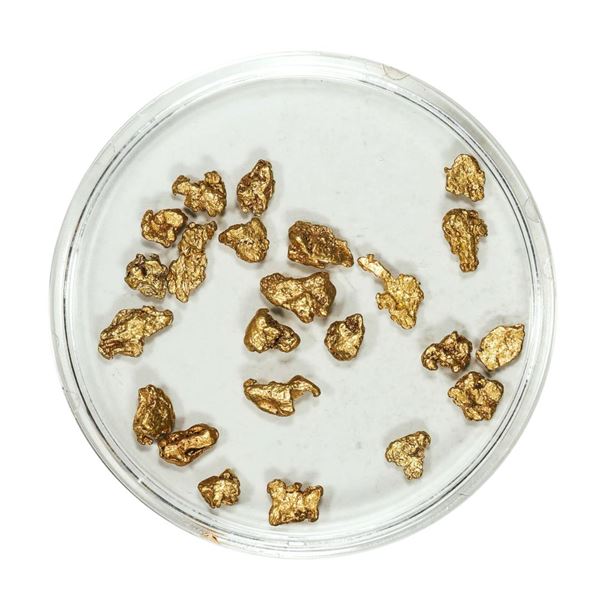 Gold Nuggets 3.46 Grams Total Weight