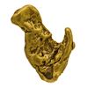 Image 1 : 3.52 Gram Gold Nugget