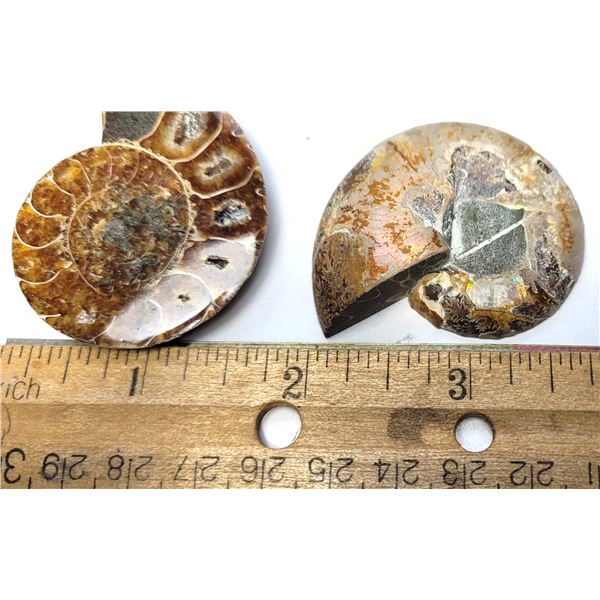 11)  FROM MADAGASCAR, COMPLETE SPLIT AMMONITE FOSS