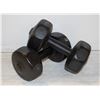 Image 1 : PAIR OF 10LB DUMBBELL