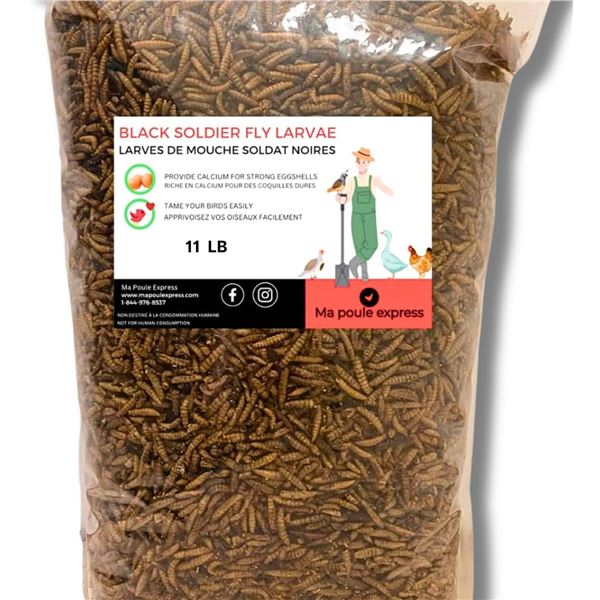 NEW 11LB BAG OF BLACK SOLDIER FLY LARVAE