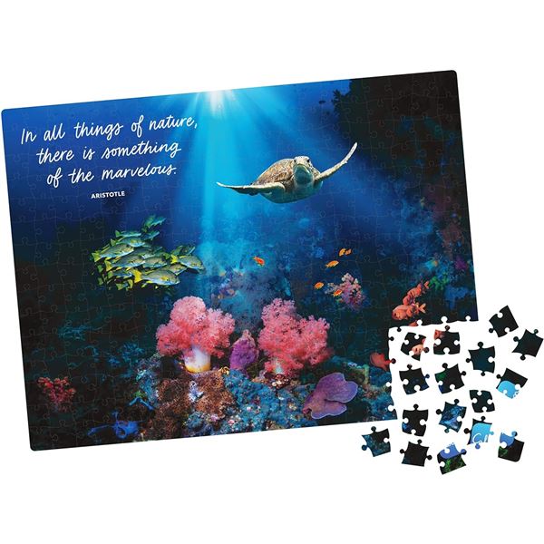 NEW 300-PIECE CALM JIGSAW PUZZLE: CALM CORAL