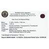 Image 2 : 7.83 ctw Oval Cut Natural Ruby