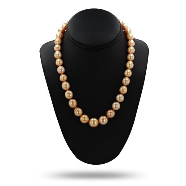 10mm to 14mm Golden South Sea Pearl 14K Yellow Gold Necklace