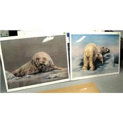 Lot of 2 shrink wrapped prints of polar bears Ronilee Lynch: print 661 of 750 "Just Dozin'" by Ronil