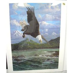 Shrink wrapped print by W. E. Linn 413 of 500 of eagle preparing for dive for fish (53)